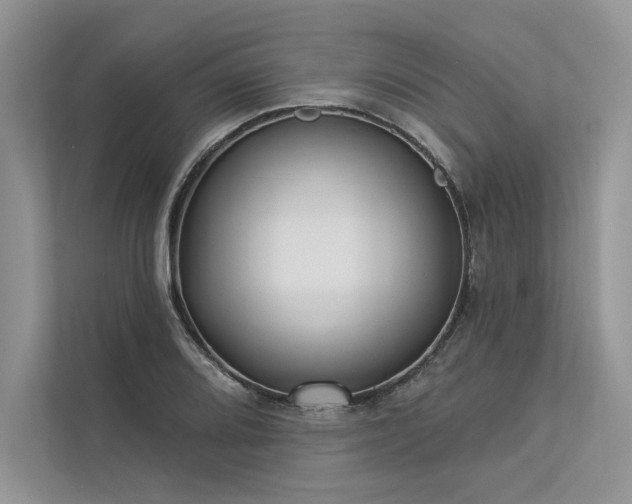 X0000113341080200909221118