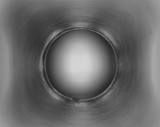 X0000113341082200909221118