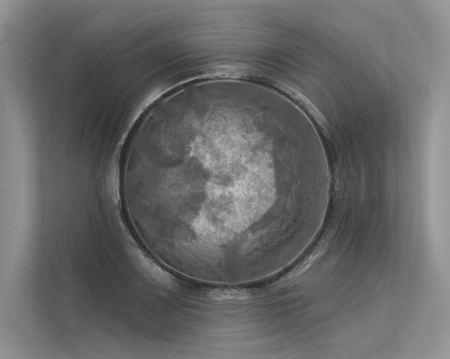 X0000113341083200909221118