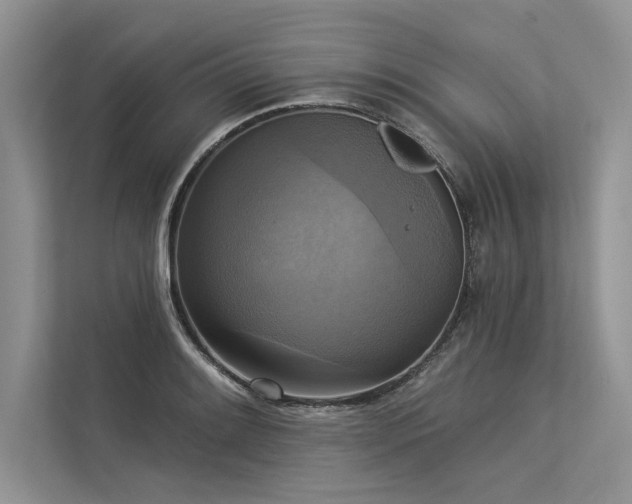 X0000113341084200909221118