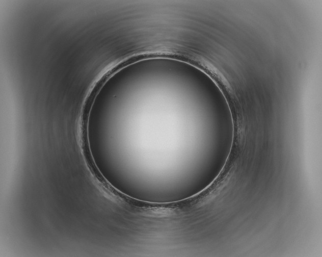 X0000113341085200909221118