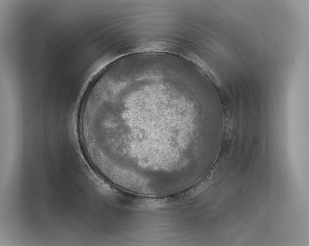 X0000113341086200909221118