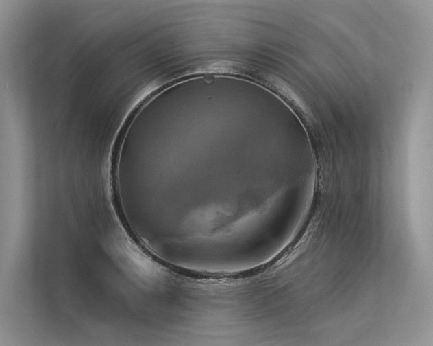 X0000113341087200909221118