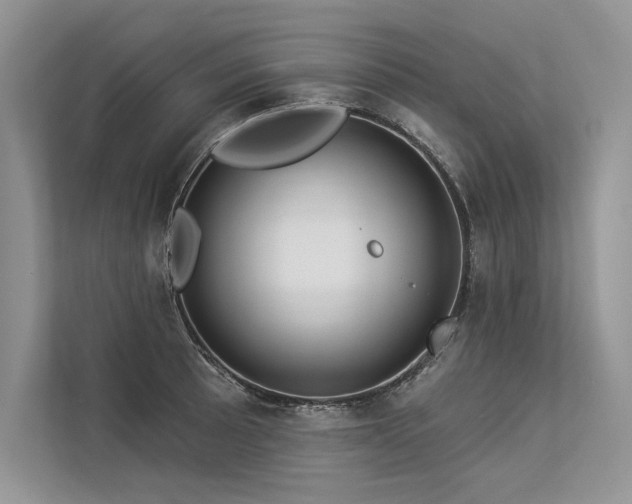 X0000113341089200909221118