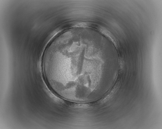 X0000113341090200909221118