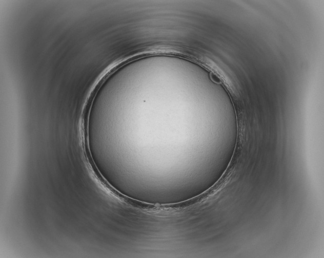 X0000113341092200909221118