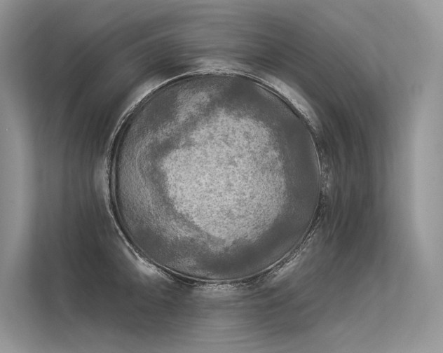 X0000113341094200909221118