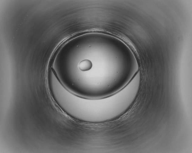 X0000113341096200909221118