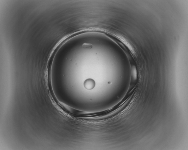 X0000113341100200909221118