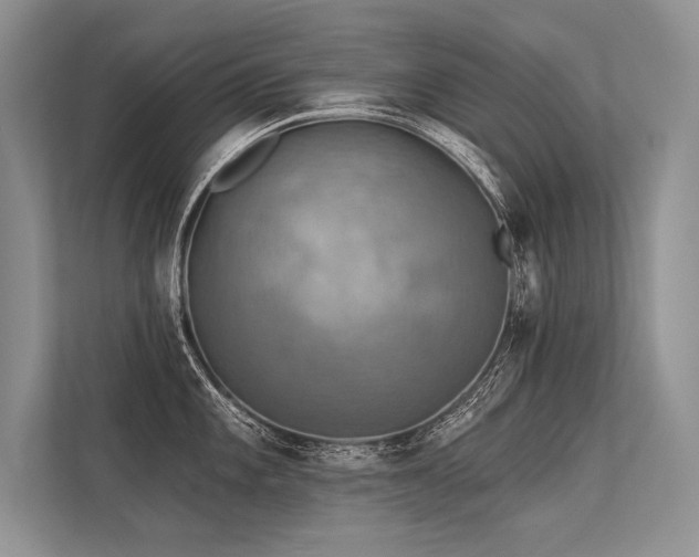 X0000113341101200909221118