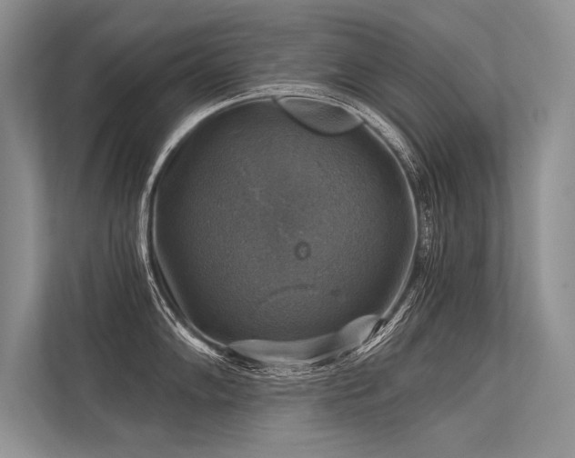 X0000113341102200909221118