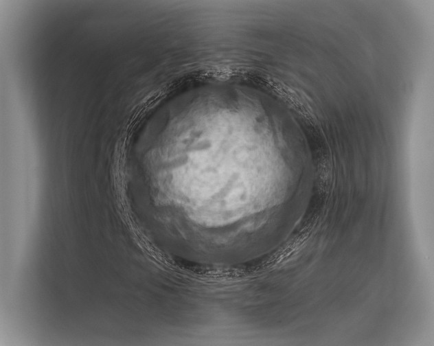 X0000113341105200909221118