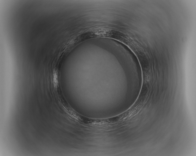 X0000113341106200909221118