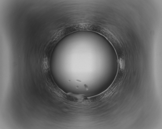 X0000113341107200909221118