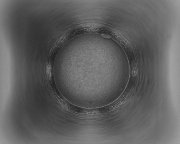 X0000113341108200909221118