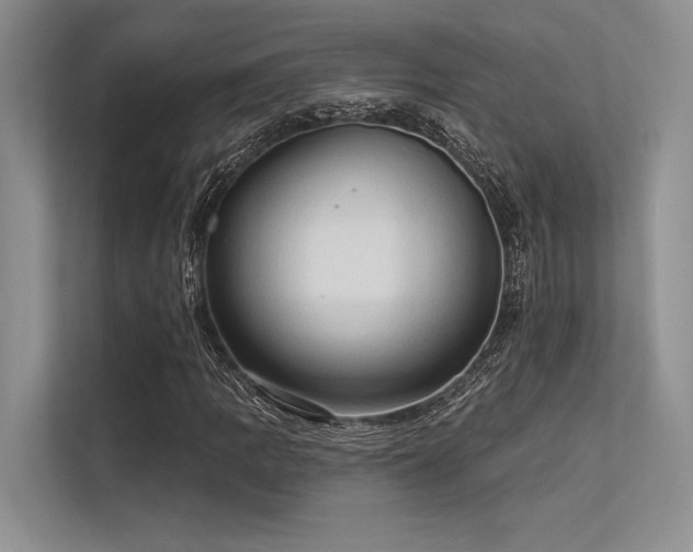 X0000113341109200909221118