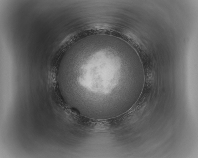 X0000113341110200909221118