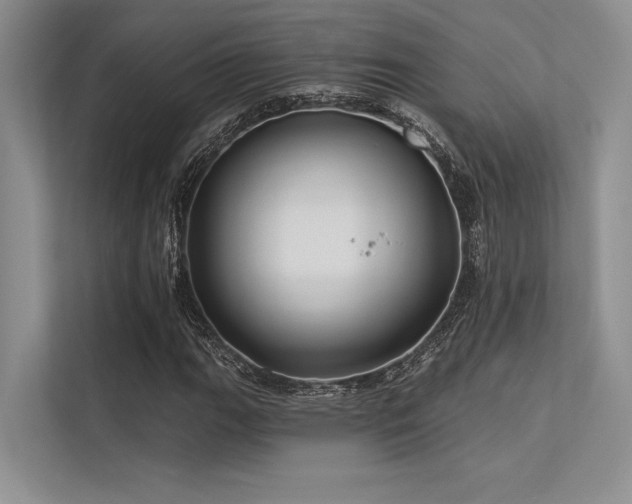 X0000113341111200909221118