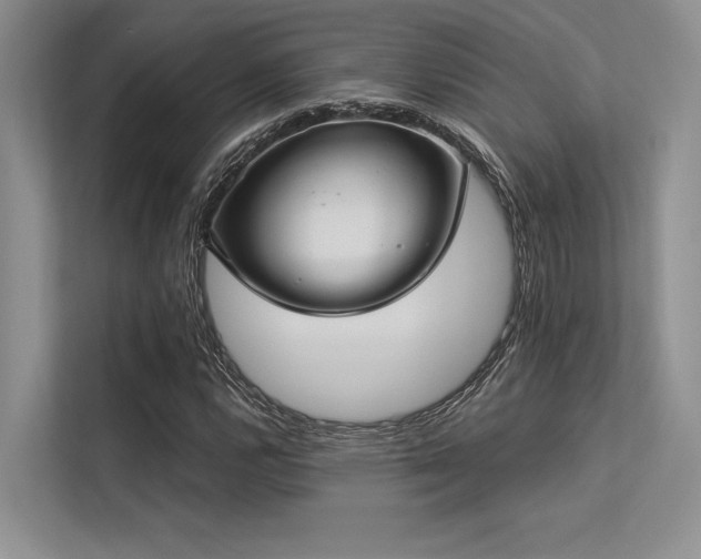 X0000113341112200909221118