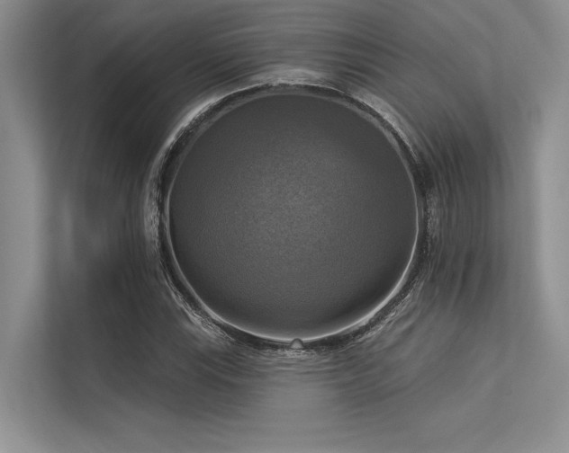 X0000113341115200909221118