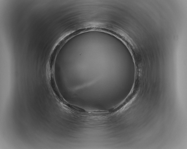 X0000113341117200909221118