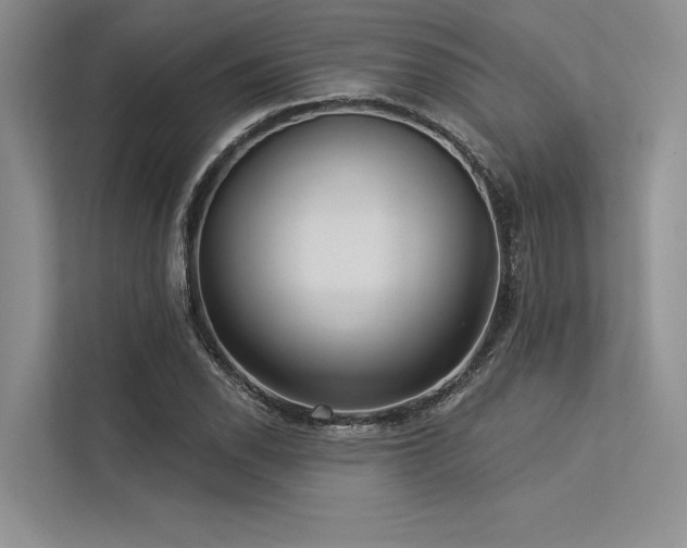 X0000113341118200909221118