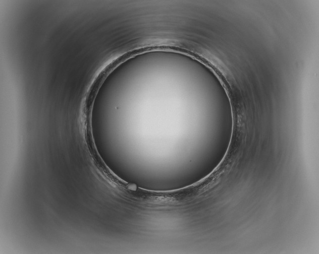 X0000113341119200909221118