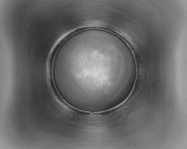 X0000113341120200909221118