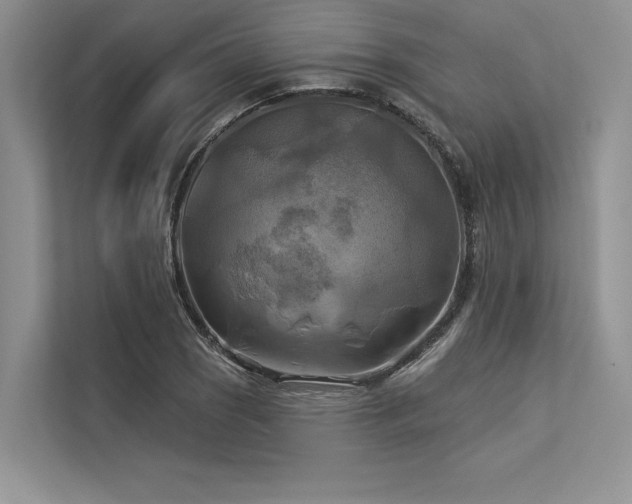 X0000113341121200909221118