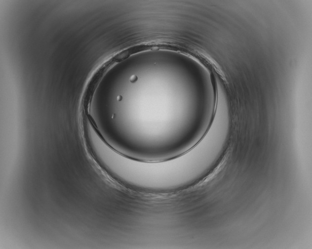 X0000113341122200909221118