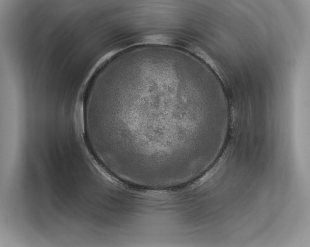 X0000113341123200909221118