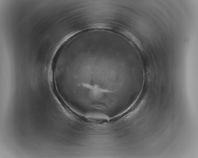 X0000113341125200909221118