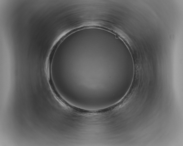 X0000113341127200909221118