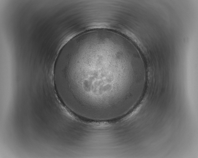 X0000113341129200909221118