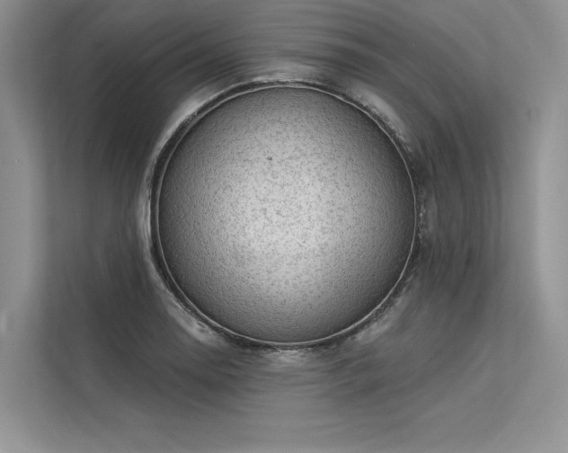 X0000113341130200909221118