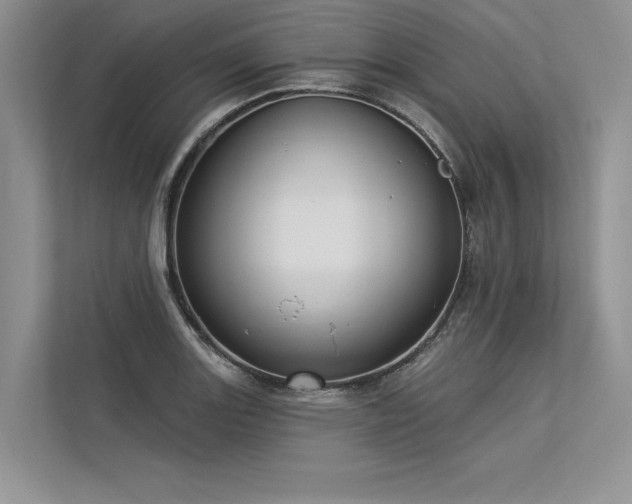 X0000113341131200909221118