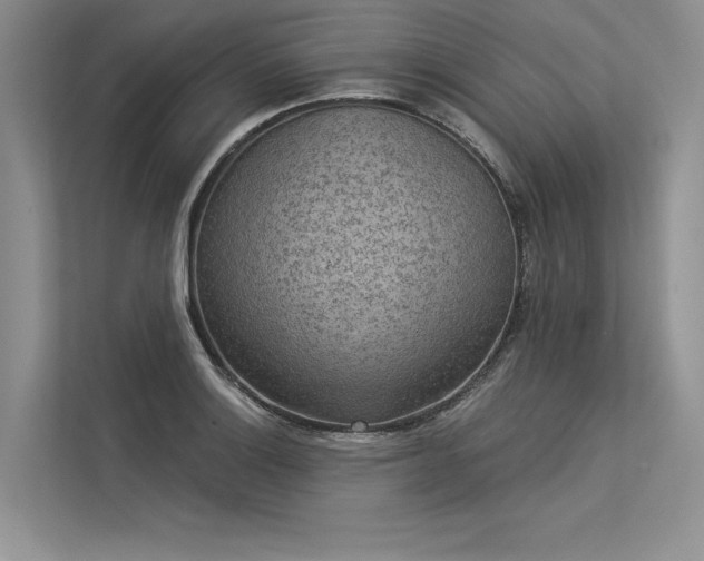 X0000113341132200909221118