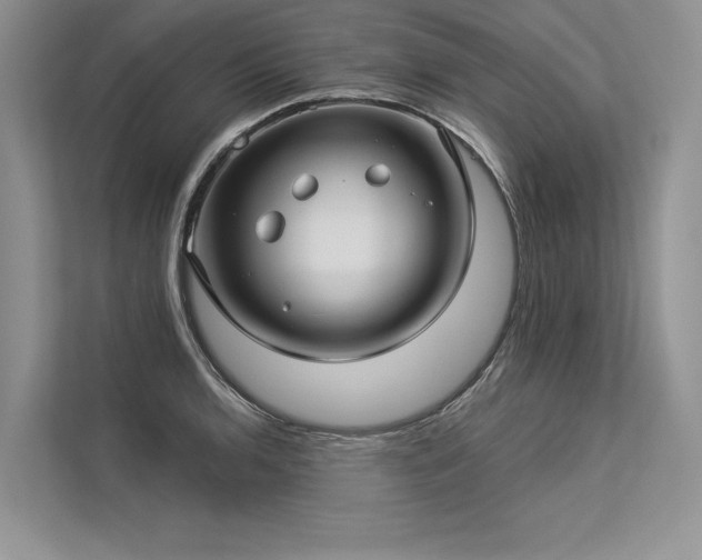 X0000113341136200909221118