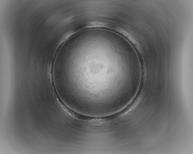 X0000113341137200909221118