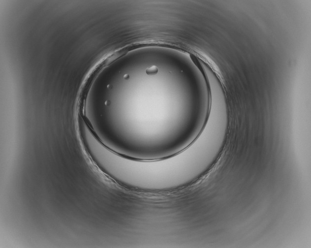 X0000113341138200909221118