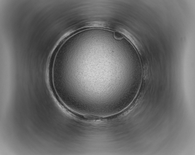 X0000113341139200909221118