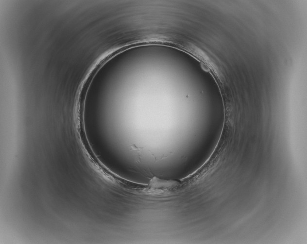 X0000113341140200909221118