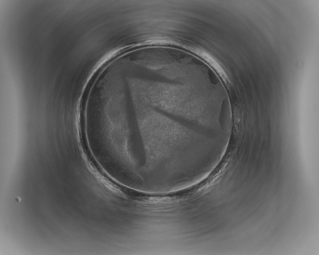 X0000113341142200909221118