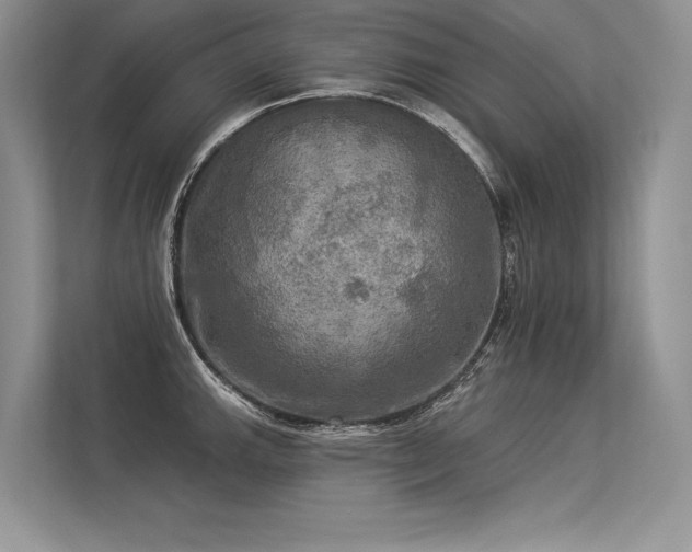 X0000113341143200909221118