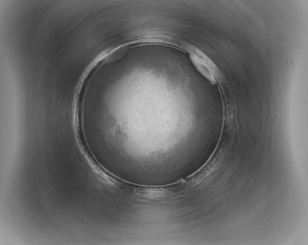 X0000113341144200909221118