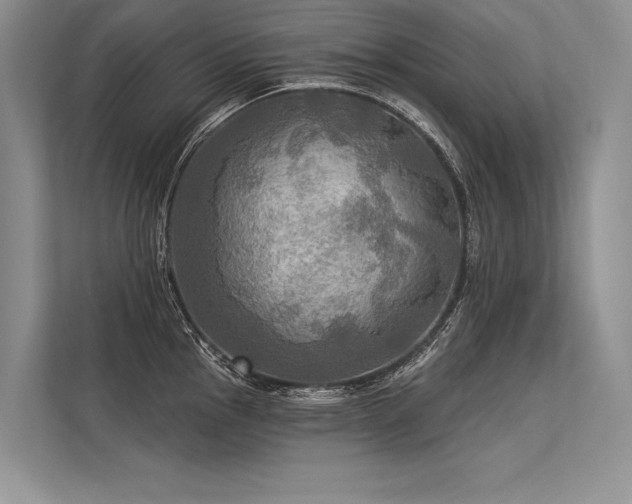 X0000113341145200909221118