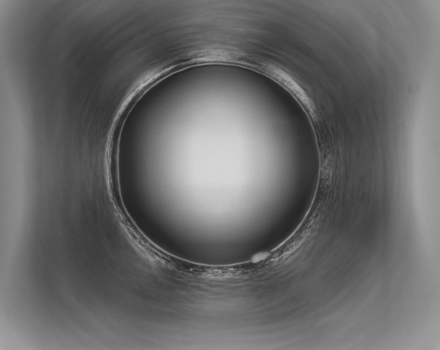 X0000113341146200909221118