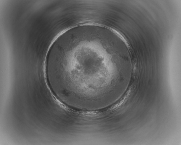 X0000113341149200909221118