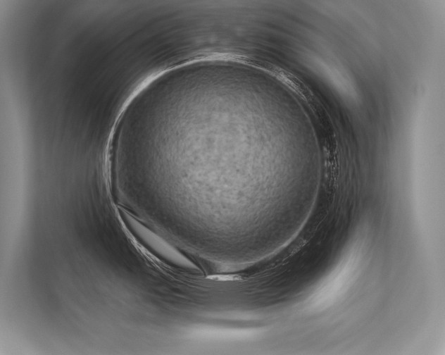 X0000113341151200909221118