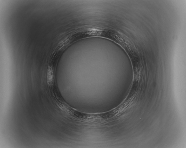 X0000113341154200909221118